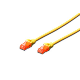DK-1617-050/Y CABLE DE RED...
