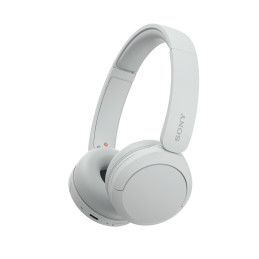 WH-CH520 AURICULARES...