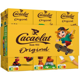 PACK 6 BRICKS CACAOLAT 200ml